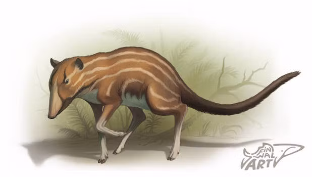 Phat hien ban tay xuong xau khong lo, nghi sinh vat ngoai hanh tinh-Hinh-9