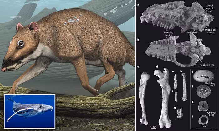 Phat hien ban tay xuong xau khong lo, nghi sinh vat ngoai hanh tinh-Hinh-11