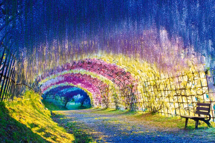 Me man nhung con duong hoa dep nhat the gioi-Hinh-4