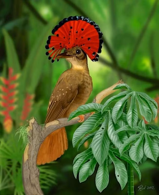 “Do guc” truoc nhung loai dong vat sac so - hut mat nhat hanh tinh-Hinh-6