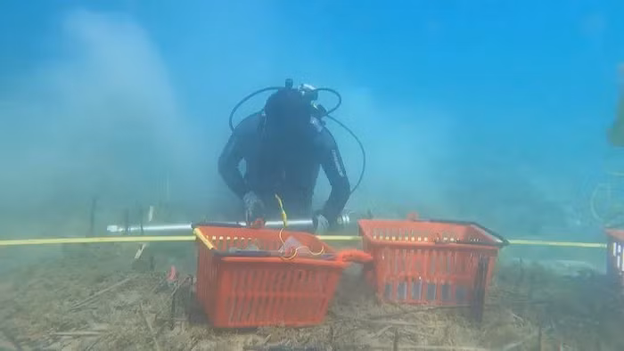 “Kho bau” duoi ho co bac nhat chau Au lo “bi mat” 8.000 nam-Hinh-4