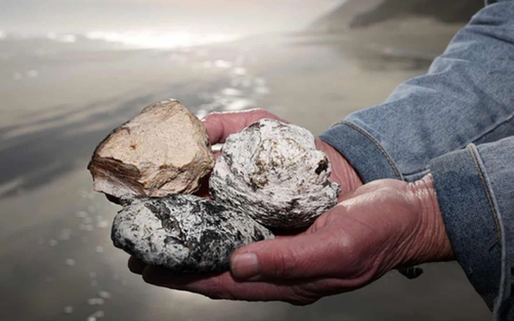 Di dao bo bien, cau be vo tinh nhat duoc “kho bau” tien ty-Hinh-8