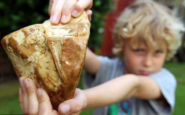 Di dao bo bien, cau be vo tinh nhat duoc “kho bau” tien ty-Hinh-3