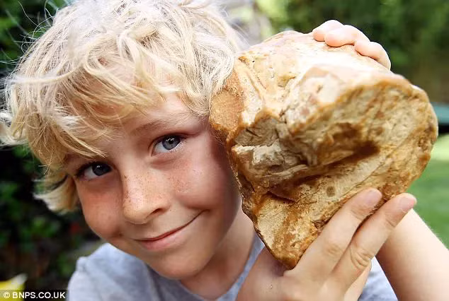 Di dao bo bien, cau be vo tinh nhat duoc “kho bau” tien ty