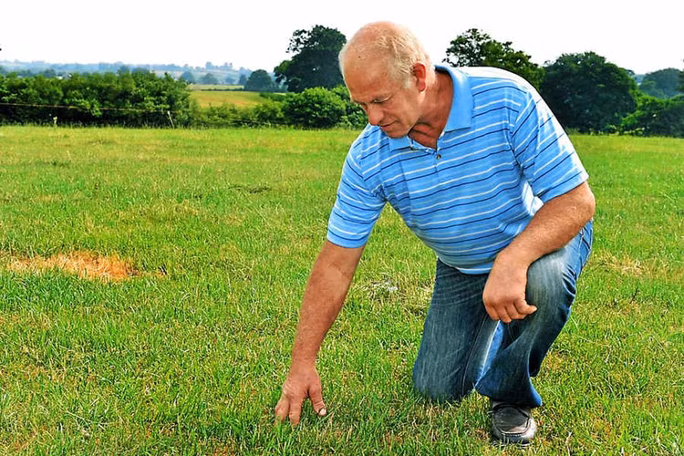 Dao dat tim nhan cuoi, mung phat khoc vi dung trung “kho bau” khung-Hinh-7