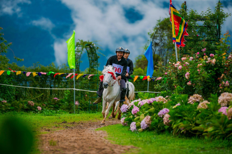 “Vo ngua tren may” – cuoc tranh hung cua cac nai ngua Tay Bac chinh thuc bat dau tu ngay 29/6-Hinh-3
