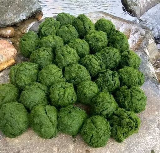 Mon ngon lam “xieu long” thuc khach khi du lich Lai Chau-Hinh-4