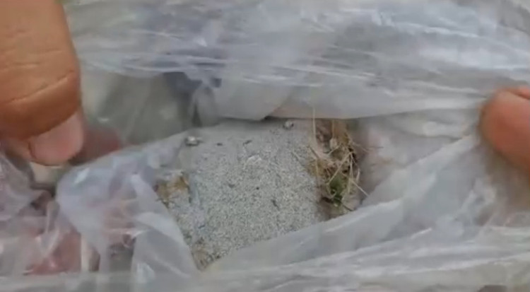 Quang Ngai: Xuat hien bui va mui hoi, khet bat thuong-Hinh-2