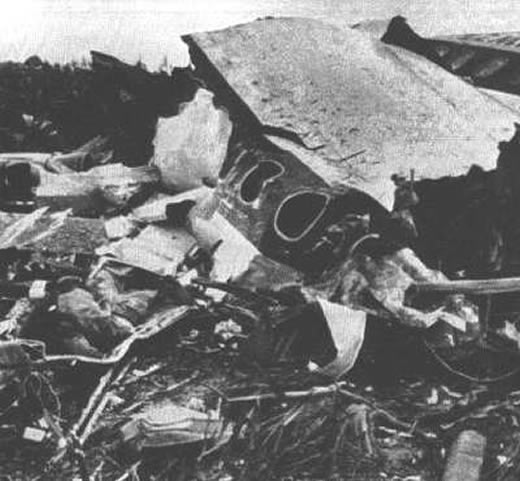 Kinh hoàng thảm họa hàng không vì kiểm soát viên nói tiếng... mẹ đẻ - Hình 9 Kinh hoang tham hoa hang khong vi kiem soat vien noi tieng... me de-Hinh-9