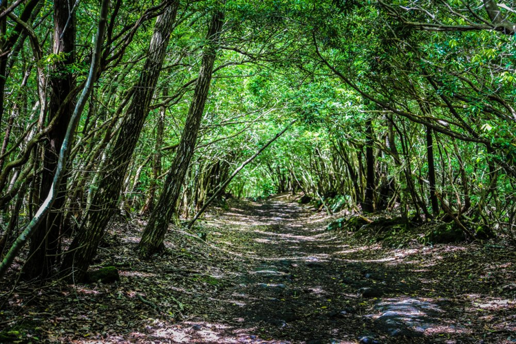 Giat minh dia danh bi an nhat hanh tinh, hiem nguoi dat chan den-Hinh-5