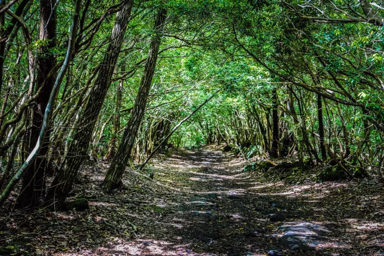 Giat minh dia danh bi an nhat hanh tinh, hiem nguoi dat chan den-Hinh-5