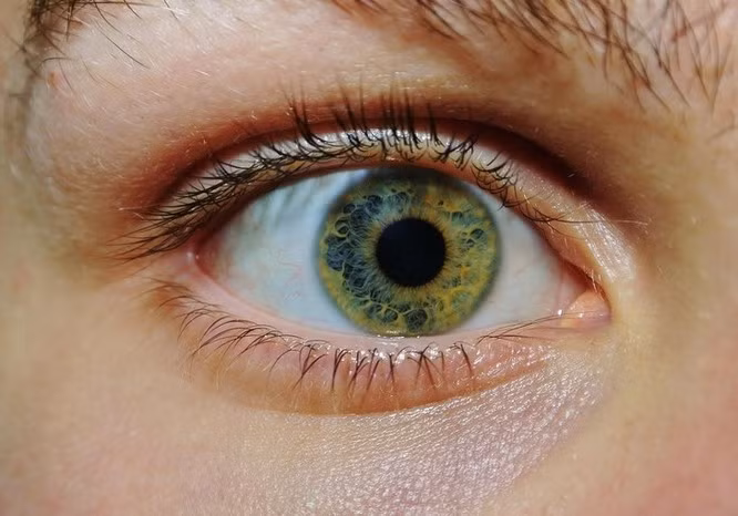 Nhung dieu dieu ki cua the gioi co the ban khong bao gio ngo toi-Hinh-11