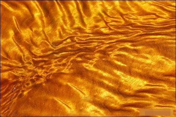 Loai go quy gap 10 lan vang, co tien chua chac mua duoc