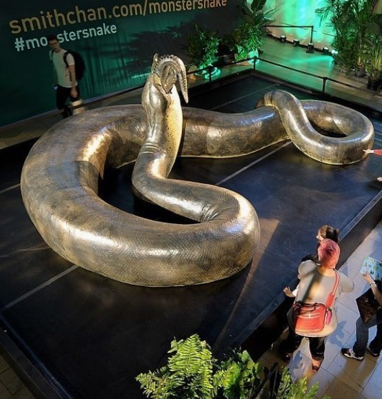 Titanoboa thể hiện sự đa dạng và kỳ diệu của cuộc sống trên hành tinh chúng ta trong quá khứ xa xôi, một mảng thú vị trong sử sách tự nhiên và cổ sinh vật học. (Ảnh: WildFact)