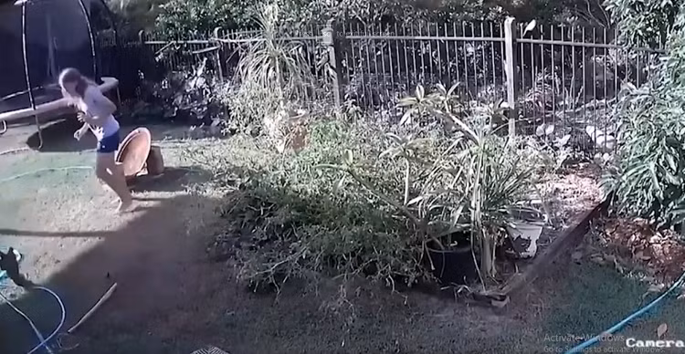 Hot hoang phat hien 'quai thu' long hanh trong vuon nha-Hinh-2