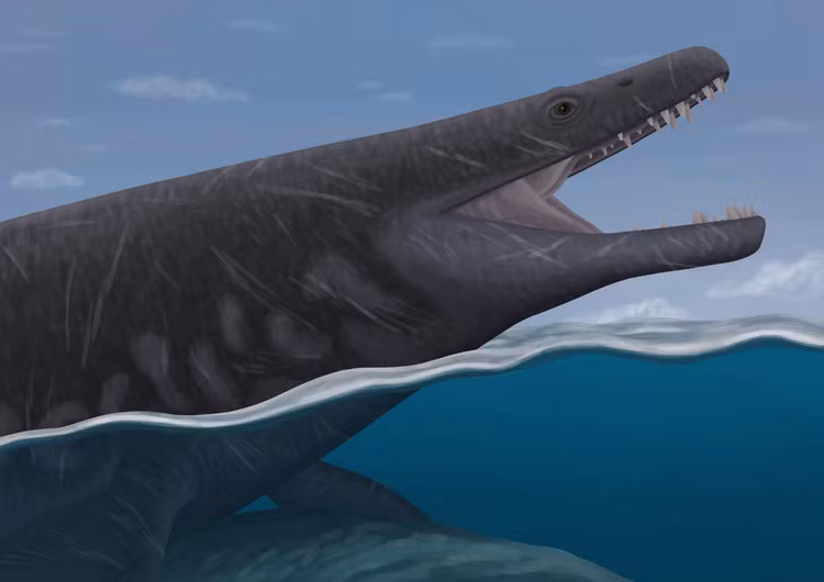 Lo dien 'quai vat' khong lo co bo rang sac nhon nhu dao gam-Hinh-3