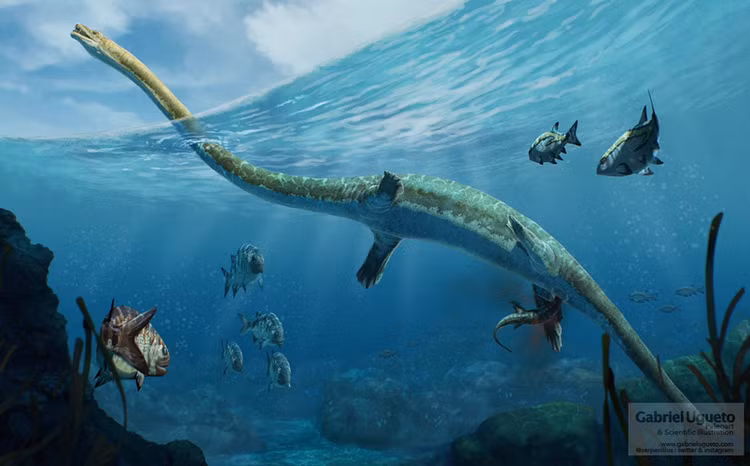 Phat hien 'quai vat bien' hoan toan moi gay boi roi gioi khoa hoc-Hinh-8