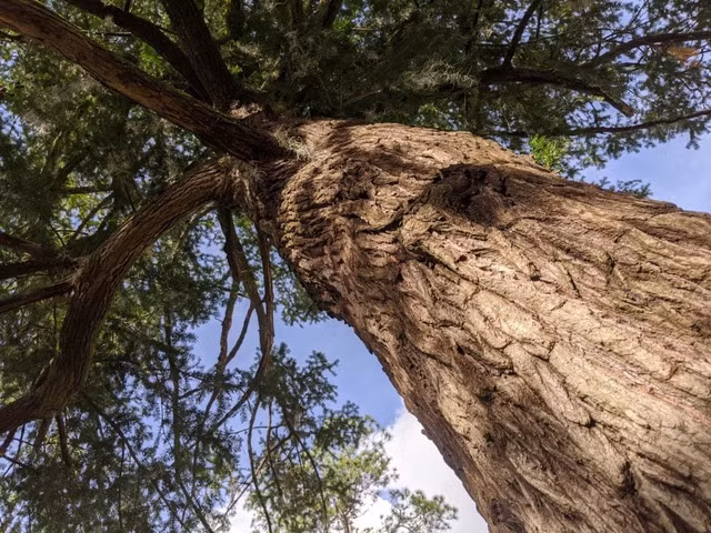 “Kho bau xanh” an minh trong nui thieng, ca the gioi canh phong can mat-Hinh-3