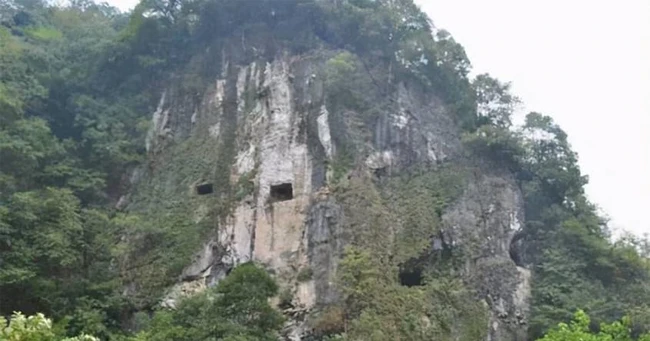 Cham vao mo co 800 tuoi... rung minh 