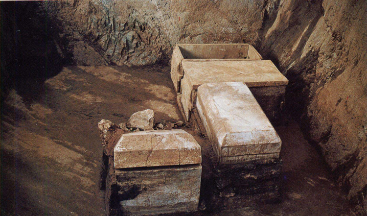 Cham vao mo co 800 tuoi... rung minh 