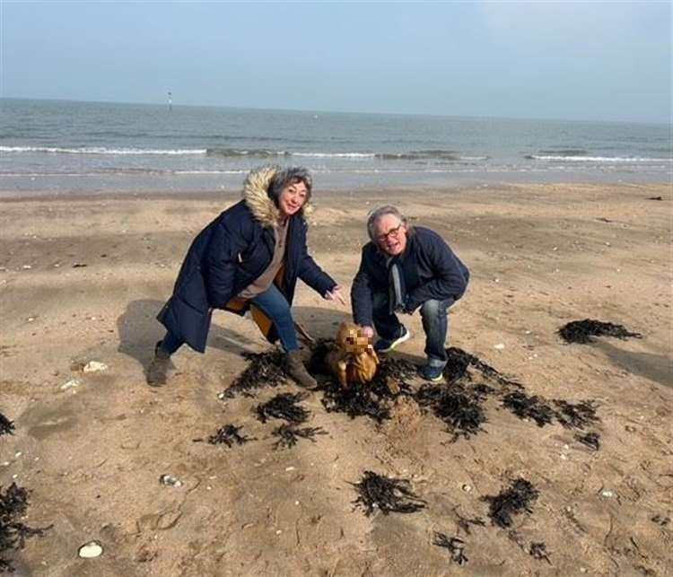 Hội đồng quận Thanet đã được báo cáo nhưng chưa đưa ra kết luận chính thức. (Ảnh: kentonline)