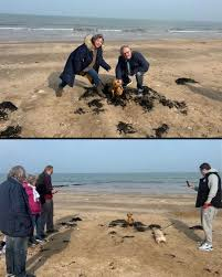 Những câu chuyện như vậy khiến con người thêm khao khát tìm hiểu sự kỳ thú và bí mật của thế giới biển cả. (Ảnh: Threads)