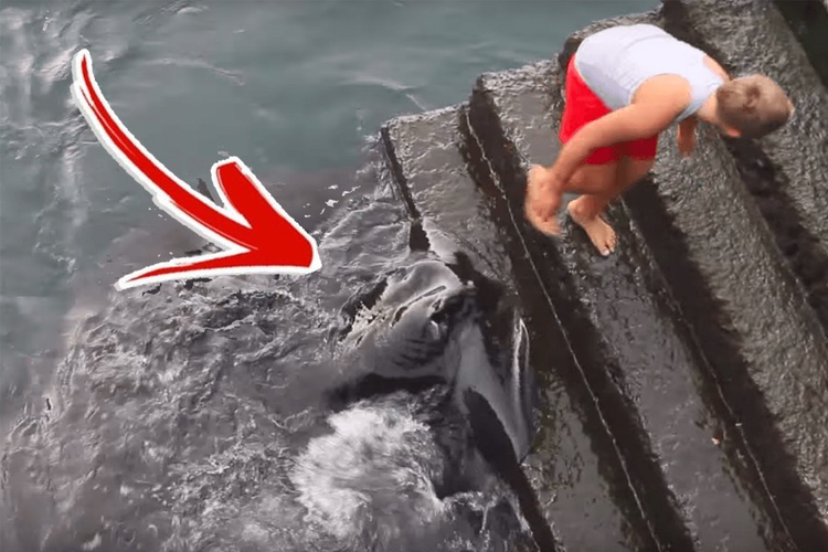 Gap sinh vat bien khong lo, be trai co hanh dong khong ngo