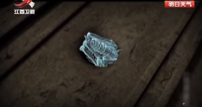 Mo mo 3.000 nam, chuyen gia sung sot thay thu 