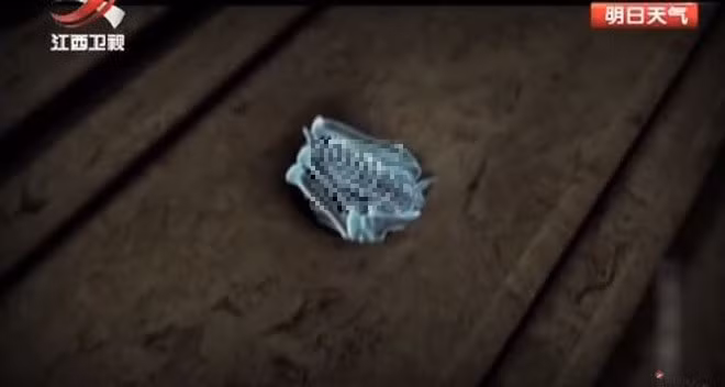 Mo mo 3.000 nam, chuyen gia sung sot thay thu 