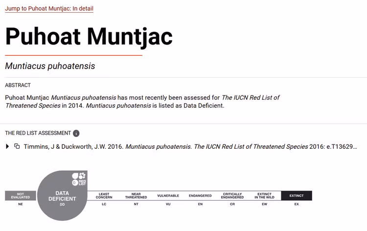 Hiện tại, trong sách đỏ, mang Pù Hoạt được liệt vào danh sách những loài đang bị đe dọa và thiếu các dữ liệu mô tả. (Ảnh: IUCN)