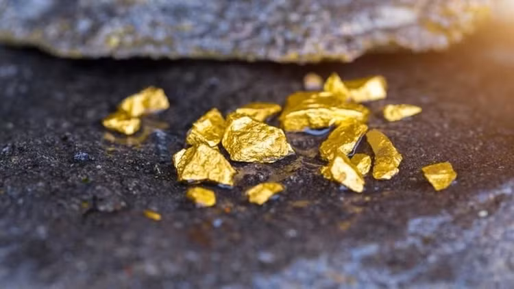 Cuc nong: Viet Nam phat hien 40 mo vang khung, tru luong gan 30 tan-Hinh-2