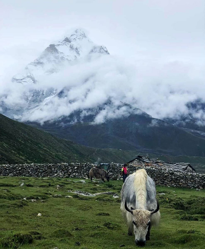 Kham pha 4 “sieu nang luc” cua con nguoi muon doi khong loi giai-Hinh-11