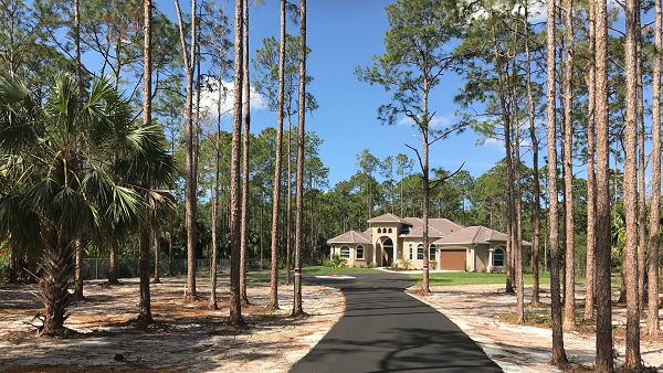 Bi an nguoi lon tung khien dan My am anh ngay dem-Hinh-6