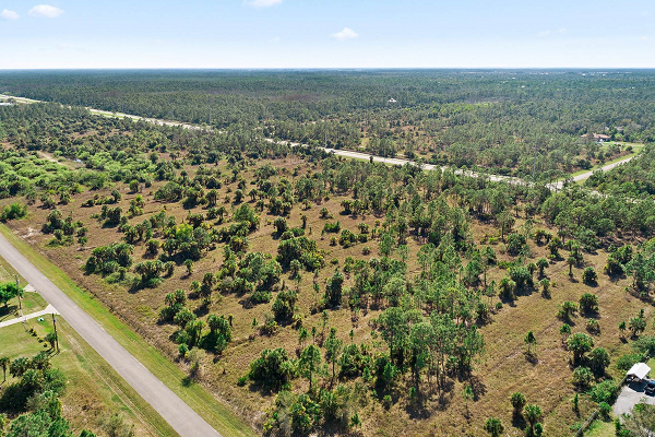 Bi an nguoi lon tung khien dan My am anh ngay dem-Hinh-7