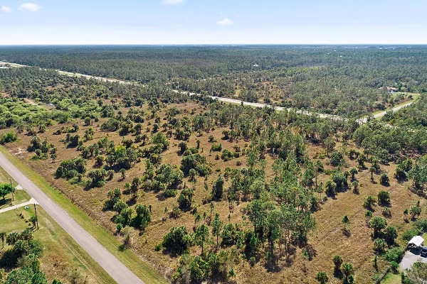 Bi an nguoi lon tung khien dan My am anh ngay dem-Hinh-7