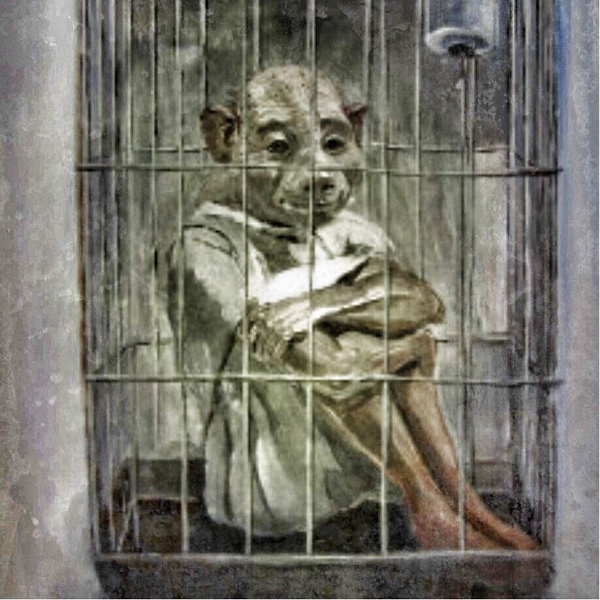 Bi an nguoi lon tung khien dan My am anh ngay dem-Hinh-5