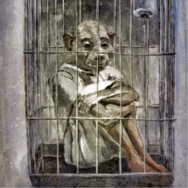 Bi an nguoi lon tung khien dan My am anh ngay dem-Hinh-5