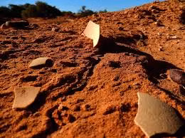 Loai chim khong lo tuyet chung hon 40.000 nam bong hien nguyen hinh-Hinh-9