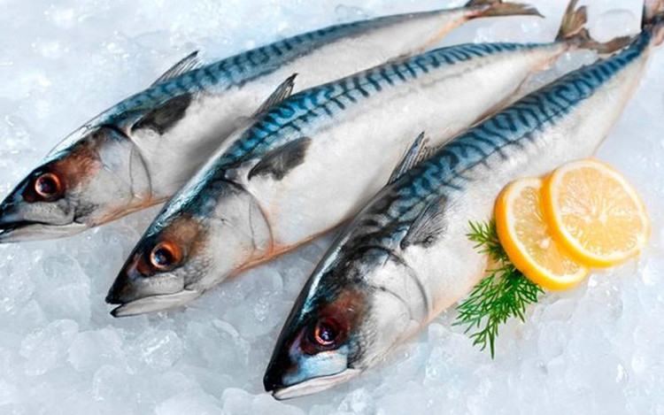 An ca thuong xuyen co tot khong?