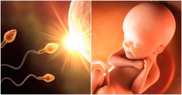 Giat minh Vanga tien tri dieu la lung co the xay ra cuoi nam 2023-Hinh-7