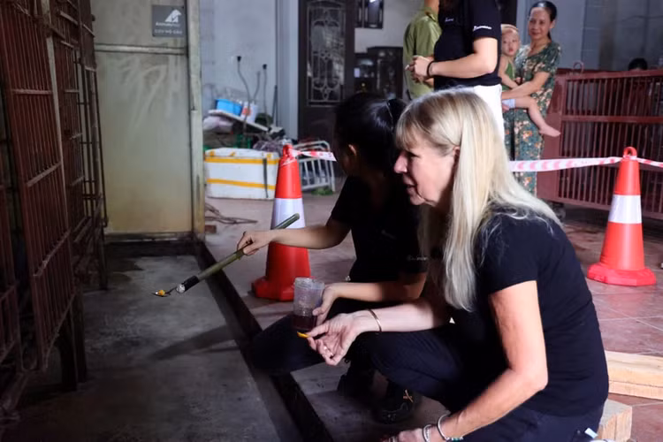 Cuu ho 2 ca the gau ve Vuon quoc gia Bach Ma: Loai quy hiem!-Hinh-3