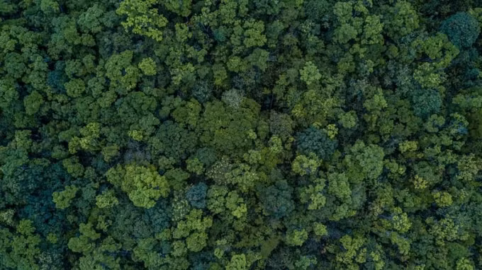 Neu con nguoi dot nhien “vang mat“, Trai dat se ra sao?-Hinh-12