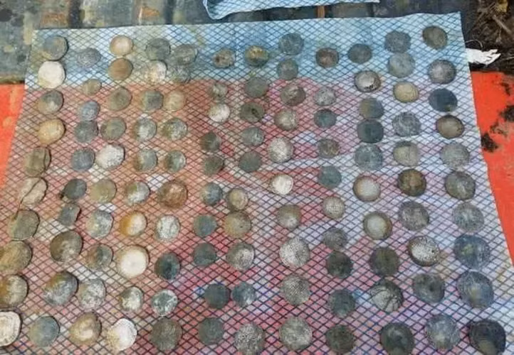 Tim nhan cuoi bi mat, vo tinh phat hien 'kho bau' khung-Hinh-6