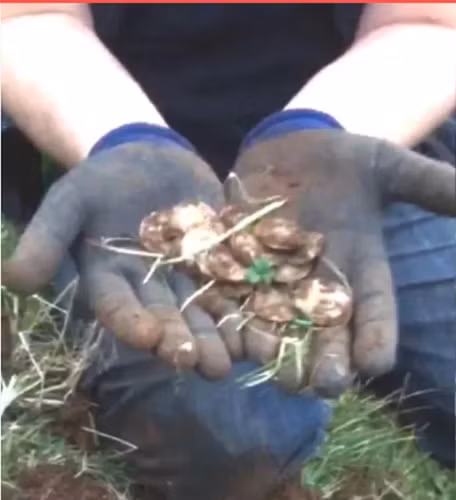 Dung trung kho vang nho may do kim loai, thanh nien chop mat doi doi-Hinh-7