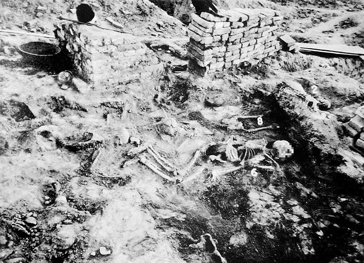 Một trong những giả thuyết phổ biến nhất là nền văn minh sông Ấn sụp đổ do thảm họa thiên nhiên. Các nhà khoa học của Hiệp hội Địa vật lý Mỹ cho rằng những trận động đất lớn có thể đã triệt hạ nền văn minh này.