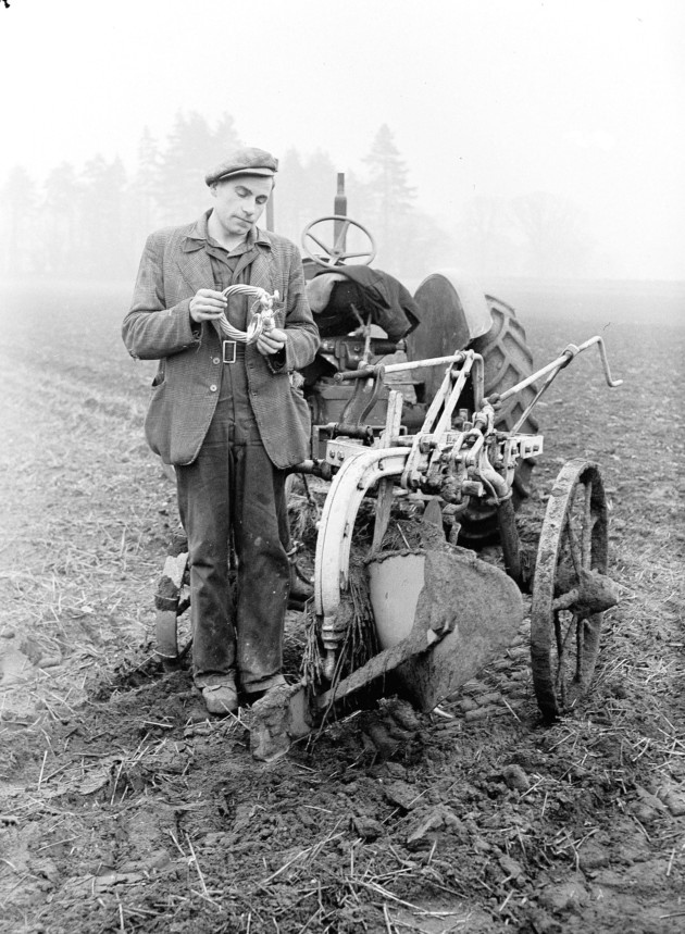 Cay ruong nhat duoc vat la, ai ngo la kho bau khung toan vang-Hinh-2