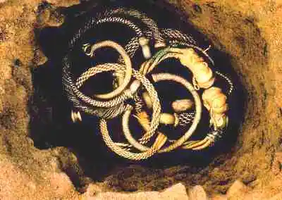 Cay ruong nhat duoc vat la, ai ngo la kho bau khung toan vang