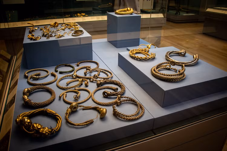 Cay ruong nhat duoc vat la, ai ngo la kho bau khung toan vang-Hinh-8