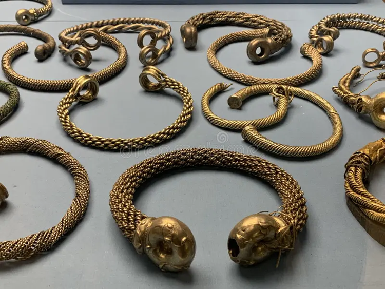 Cay ruong nhat duoc vat la, ai ngo la kho bau khung toan vang-Hinh-6