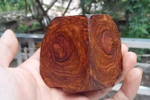 Loai go duoc menh danh la 'vang lo thien', Viet Nam co nhieu-Hinh-7